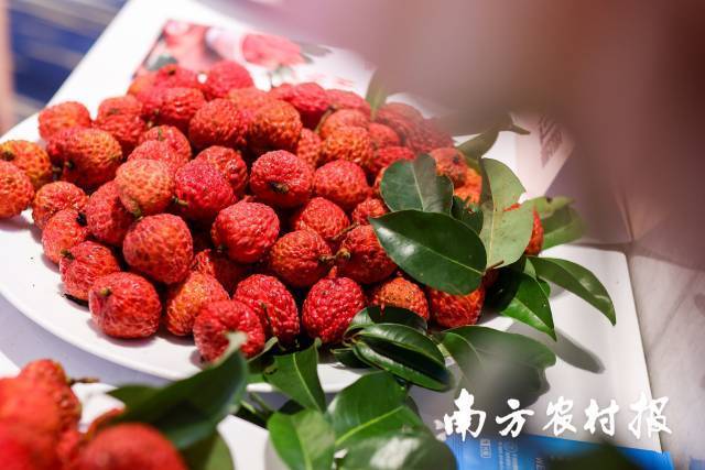 南方农村报 李嘉镓 制图