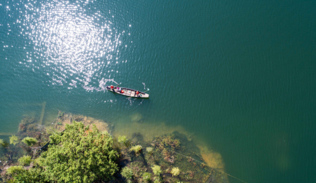乡村运营学临安，究竟学什么？