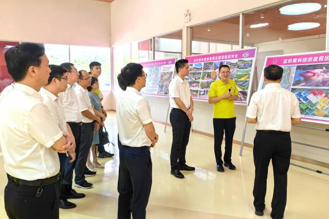 与会嘉宾参观蓝田紫林·童心小镇项目。