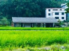 广州黄埔促进城乡要素流动，年轻人带资回村｜锚定现代化 改革再深化