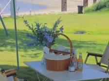 活动预告！在大鹏杨梅坑，探寻非遗之美，慢享“发呆”时光