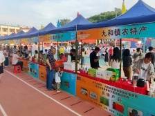 品蝉茶、吃美食、看赛事，2024河美共赢篮球联赛紫金赛区火热开打