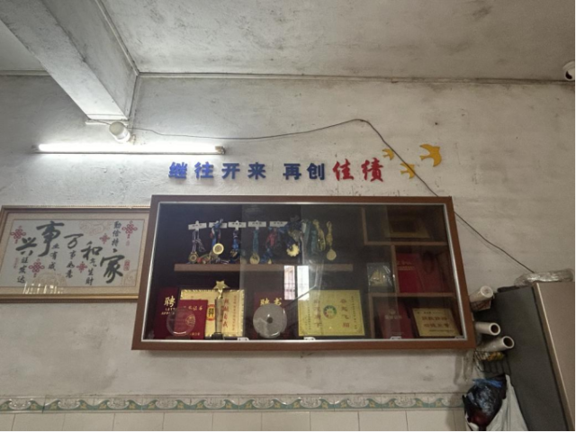 莫家蝶家中陈列的奖牌、奖杯和获奖证书。