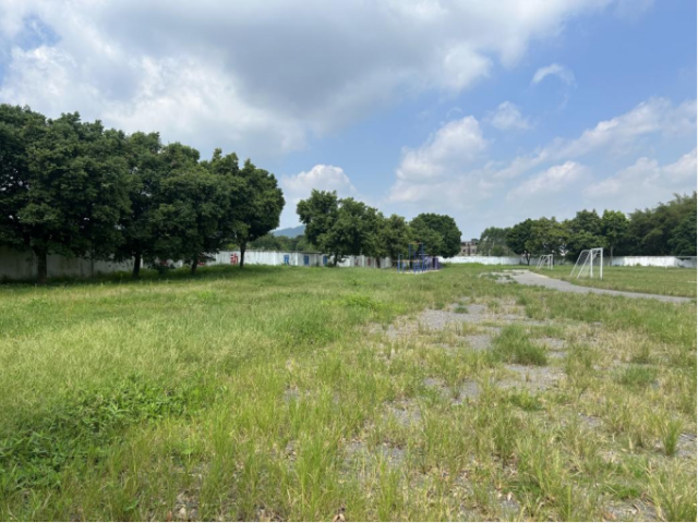 岗坪镇中心小学操场，莫家蝶曾经的训练场地。