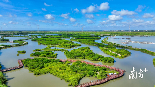南方农村报 李嘉镓 制图