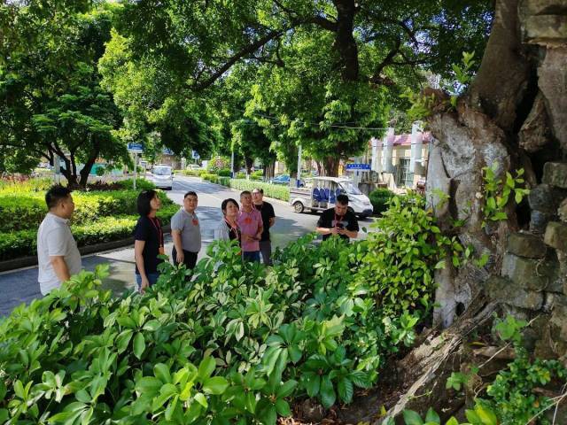 南方农村报 李嘉镓 制图