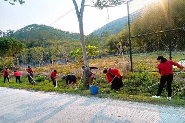 南方农村报 李嘉镓 制图