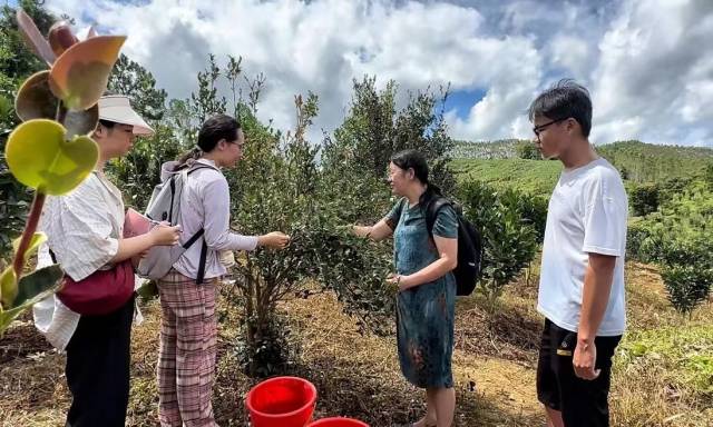 彭桂香教师教学油茶种植知识。