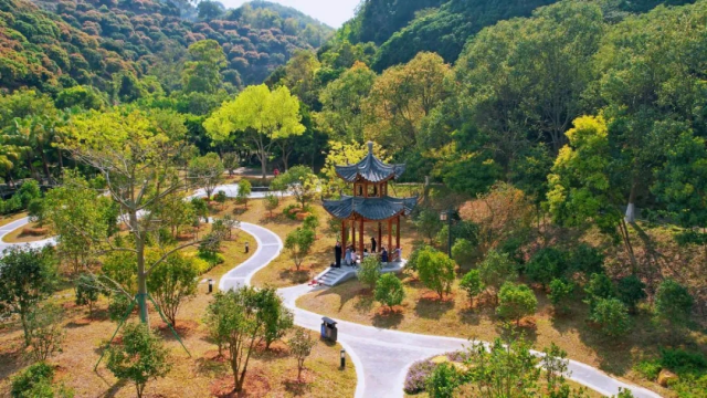 南方农村报 李嘉镓 制图