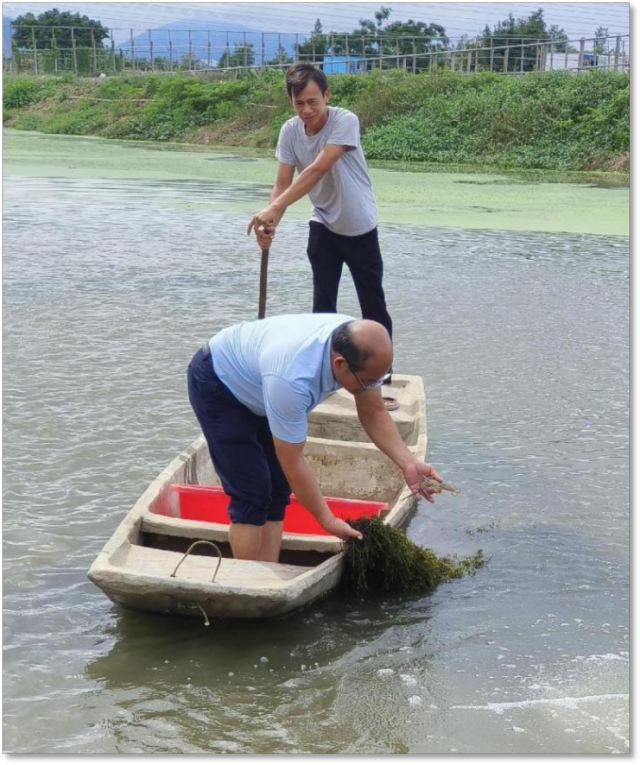 南方农村报 刘弋文 拍摄