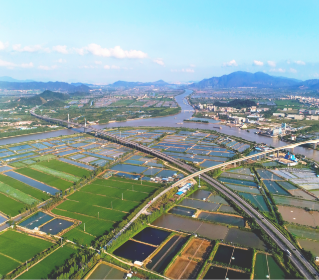 南方农村报 刘弋文 拍摄