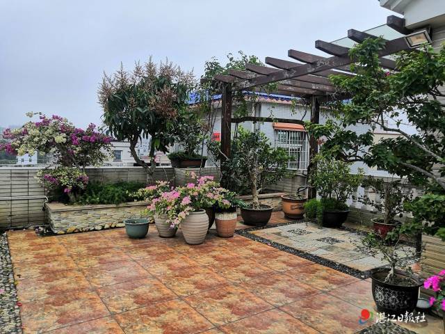 南方农村报 李嘉镓 制图