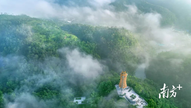 南方农村报 李嘉镓 制图