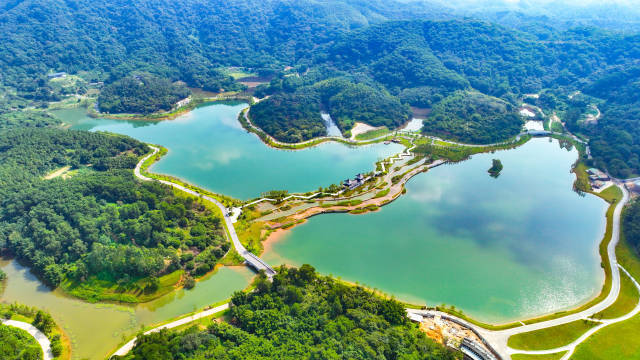 南方农村报 李嘉镓 制图