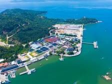 饶平创“芯”培育花鲈种苗，推广绿色网箱挺进深蓝 | 新质向上 农业焕新