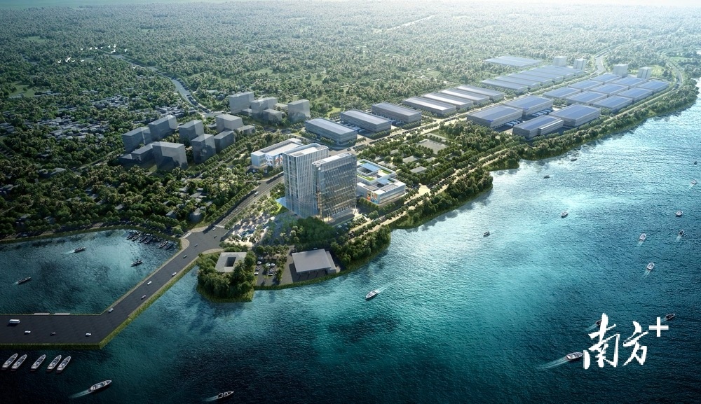 新建高桩码头将连接水产品贸易中心、水产品加工标准化厂房。资料图