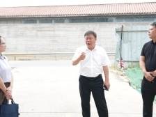 龙归粮仓二期、武江城乡融合产业园建设进展如何？武江区委书记张广晖率队调研