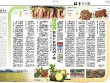 七个万特色产业的突围之路｜速览《南方日报·陆丰视窗》第61期