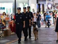 江门公安全力守护！抓获现行违法犯罪嫌疑人160多人