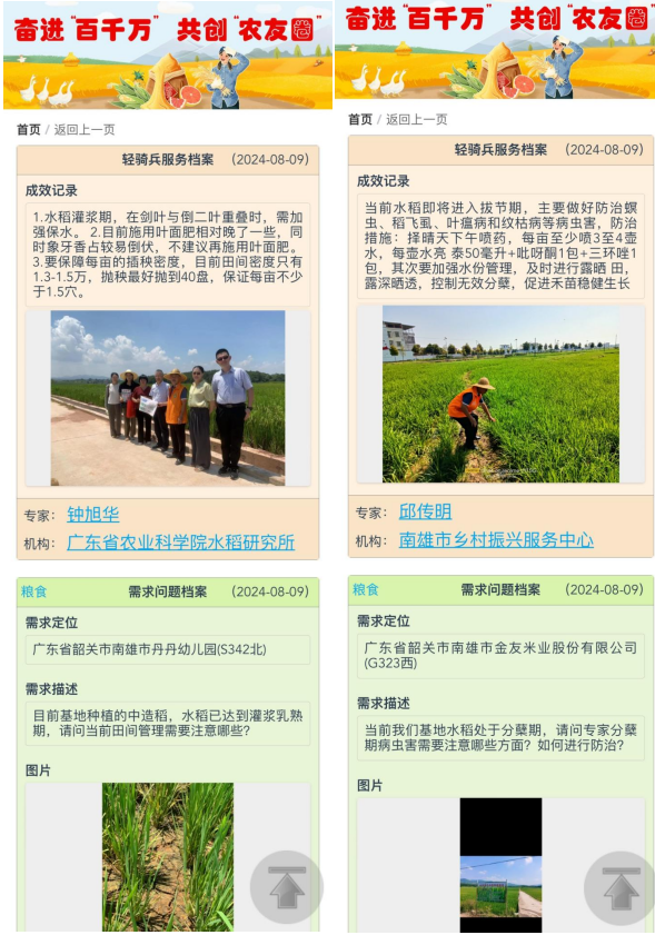 农户通过“农友圈”咨询水稻种植问题。