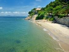 视频｜开渔节来都来了，周末带娃遍游滨海安排上！