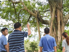 全国生态日，写在绿水青山间的恩平检察答卷