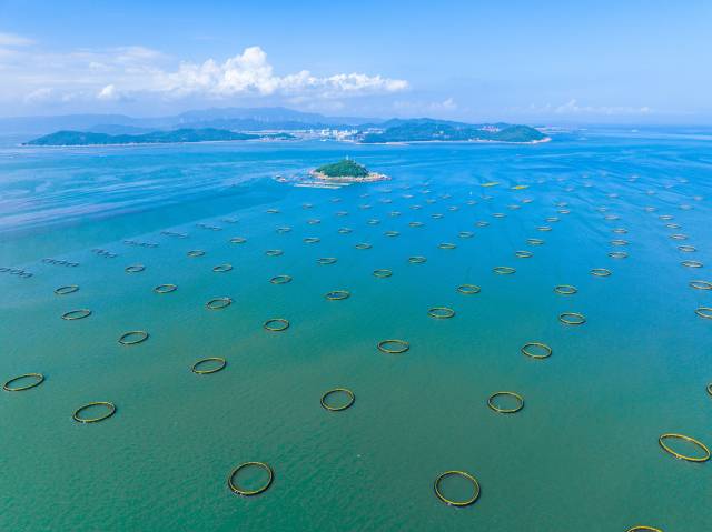 饶平现代化海洋牧场-蓝东旭