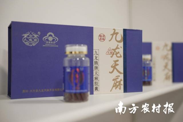 贵州九天天麻有限公司推出的九龙腾牌天麻胶囊。