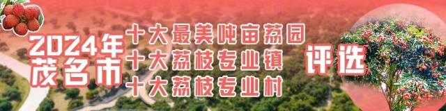 南方村落子报 陈静 拍摄