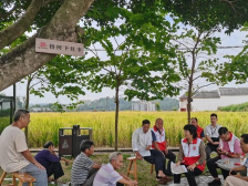 东源：深化“1+6+N”工作体系建设，全力打造“大树头议事”基层治理品牌