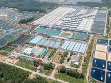 观察丨斥资收购境外公司，大幅提升虾苗产能，种苗业务回归上市主体……粤海饲料大手笔进军虾苗业透露什么构想？