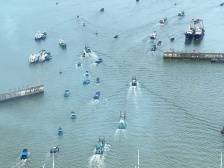 茂名博贺渔港开渔，长沙游客：看不够！凌晨一定来蹲首批渔获