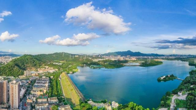 逐绿向美，深圳产业大区如何走好全面绿色转型新路？