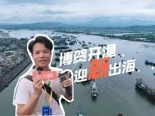 博贺开渔，迎“新”出海｜响亮打卡·滨海百千万视界