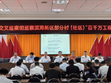 茂名市委第五交叉巡察组向滨海新区部分村（社区）反馈“百千万工程”专项巡察情况