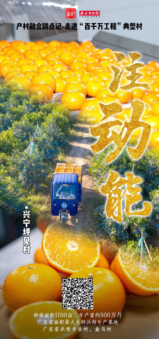 南方农村报 赵飘飘 拍摄