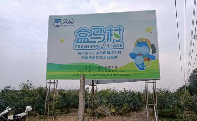 坪见村挂上“盒马村”的品质招牌