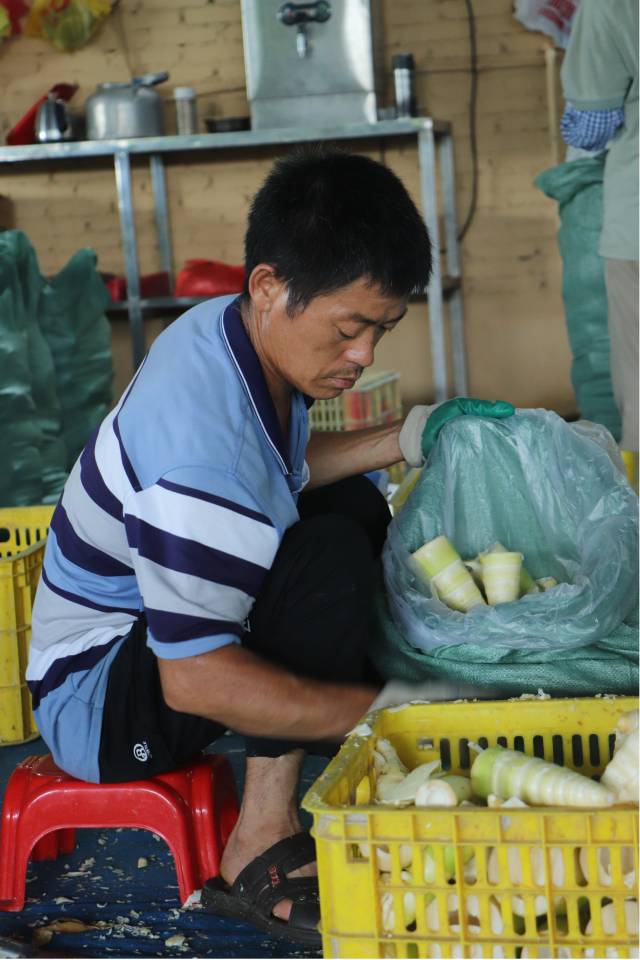 小湾村西牛麻竹笋合作社纯建收购点分拣现场。