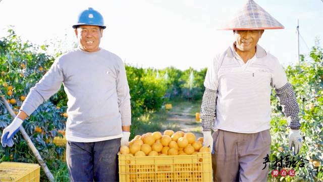 产业兴，村民乐