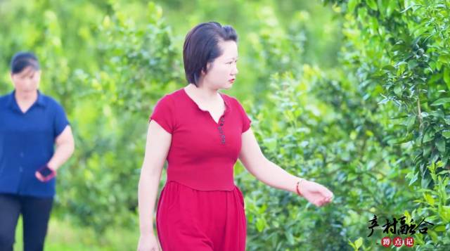 兴宁市粤和兴农业发展有限公司董事长杨彩琼