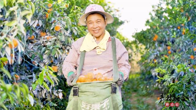 1  南方农村报 赵飘飘 拍摄