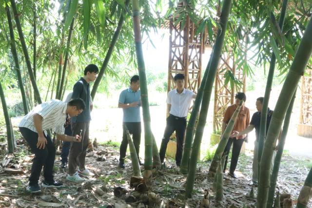 调研组一行深入产区了解当地种植情况。