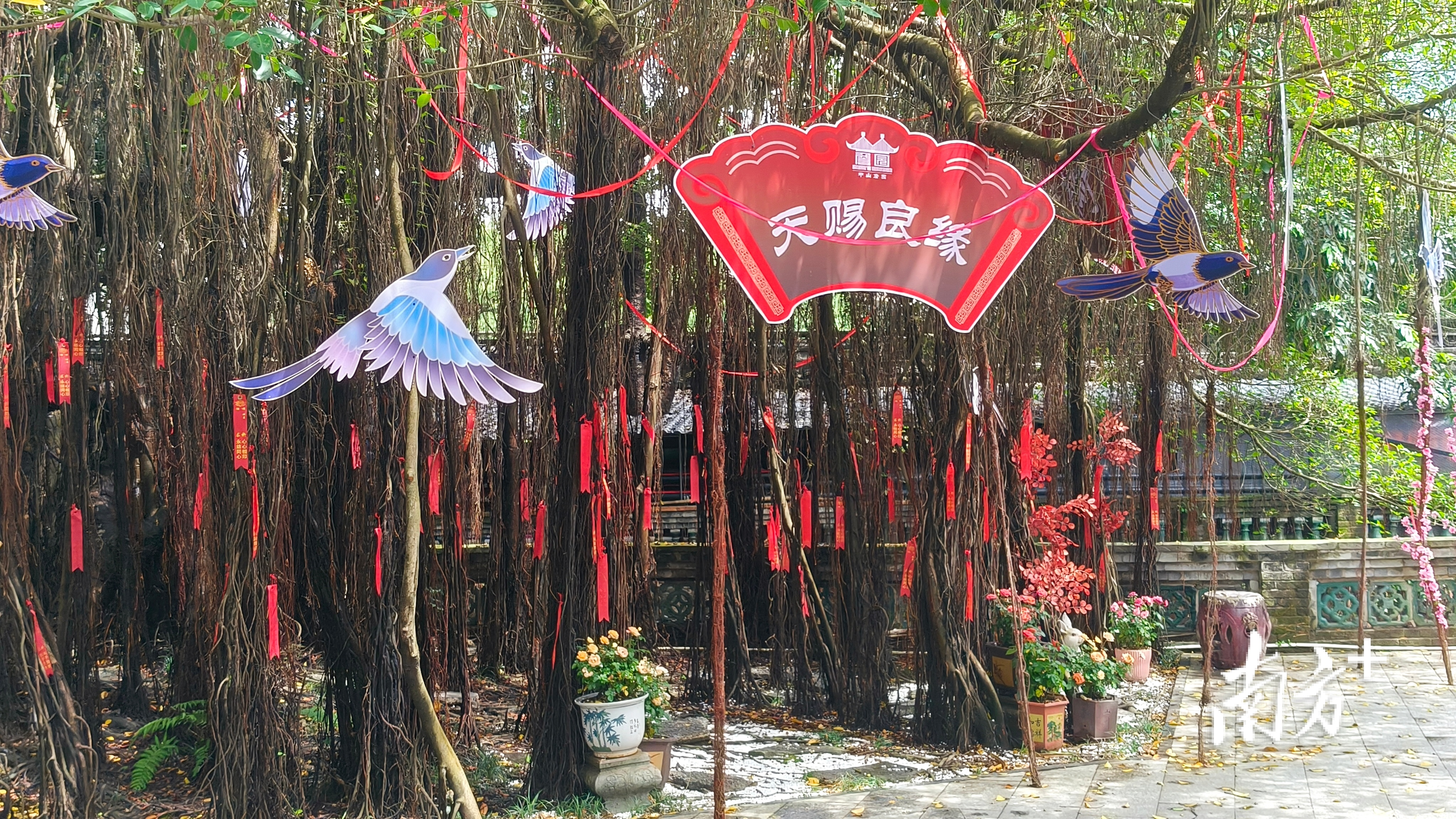 七夕限时活动场景。 南方拍客 罗誉 供图