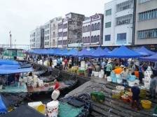 大批海鲜来袭！开海后博贺渔港熙熙攘攘｜视点