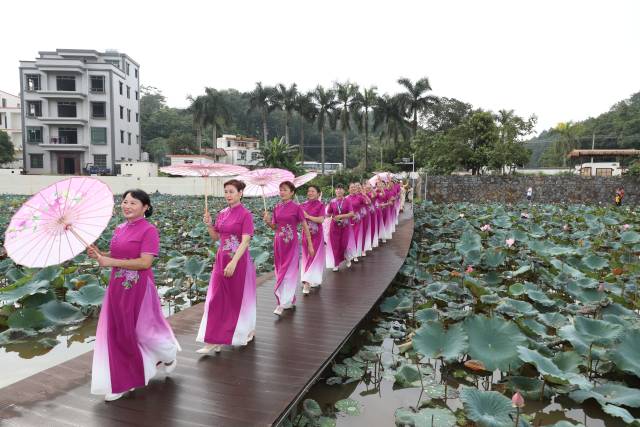 荷花主题表演。