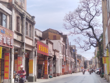 阳江古城①：一城古韵，如何点亮千年文脉的时代风华？｜阳江历史文化行