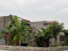 土地清拆后如何不闲置？饶平所城以“绿变”答题丨百千万·“潮”前跑