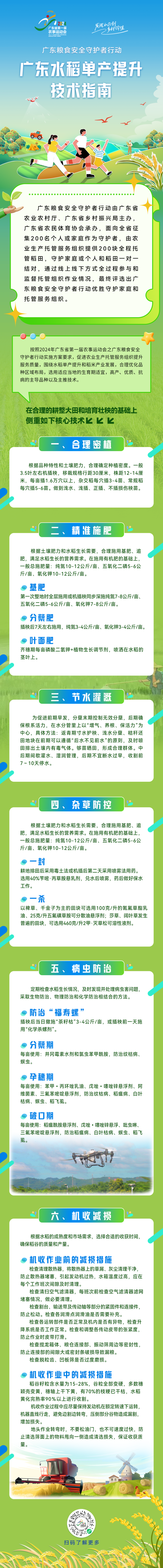 广东水稻单产提升技术指南