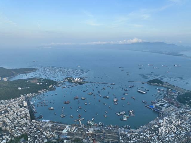 清晨，阳江海陵岛，首批新鲜鱼获运输上岸。