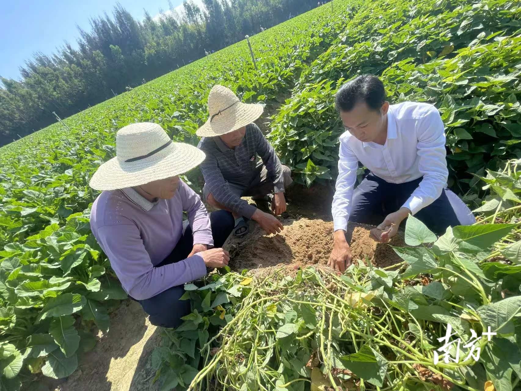 黄炎城为村民讲解种植技术。